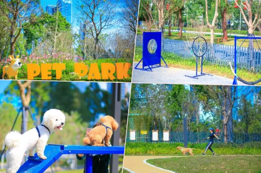 迎風狗運動公園